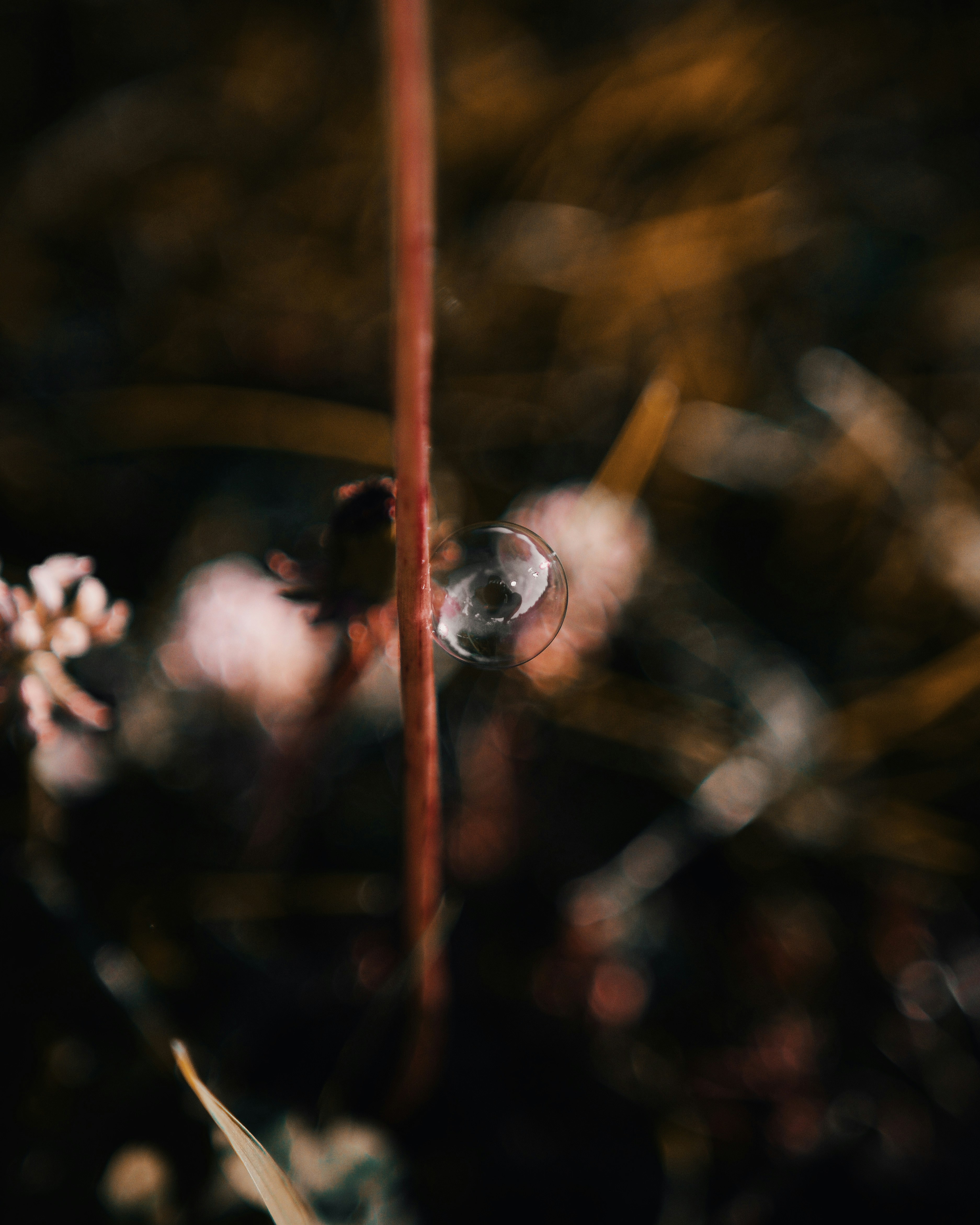 Photo by leviventura_