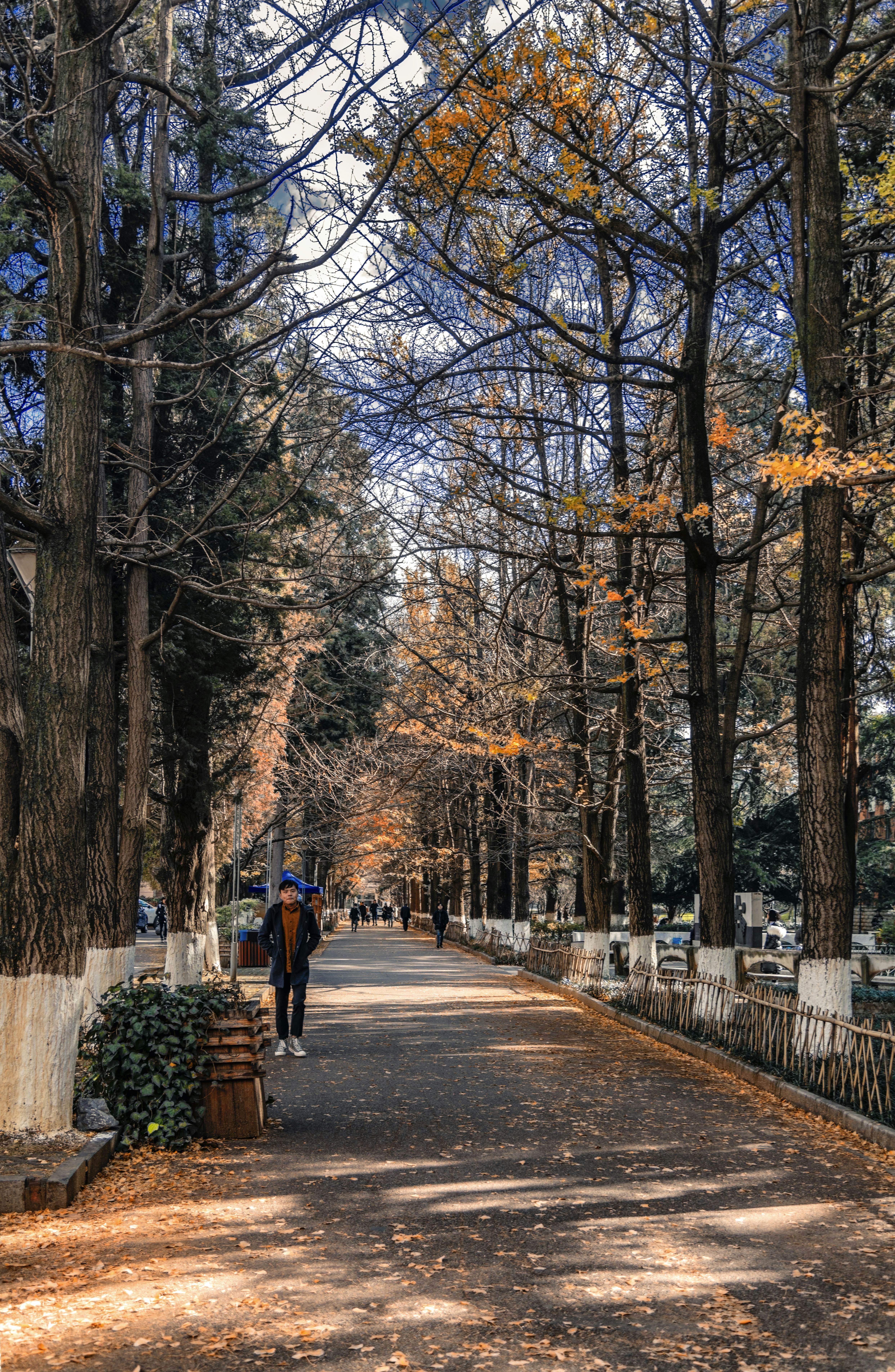 Photo by zhaochen1975