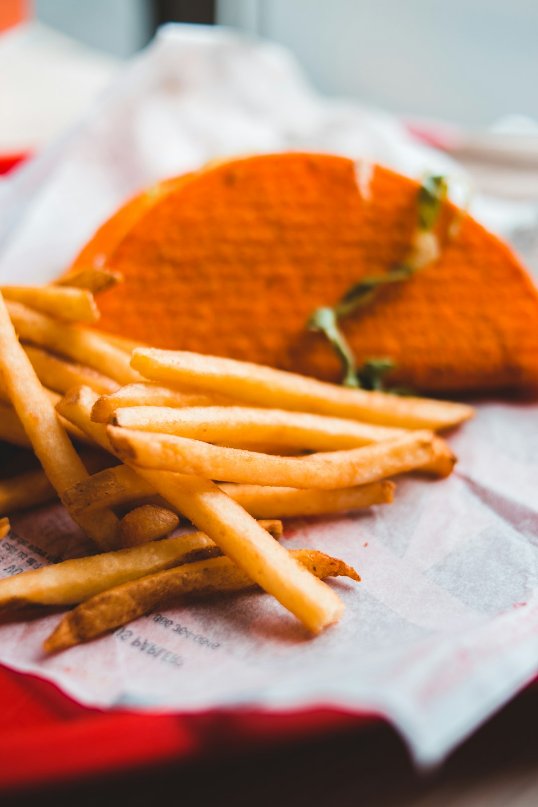 closeup photo of fries