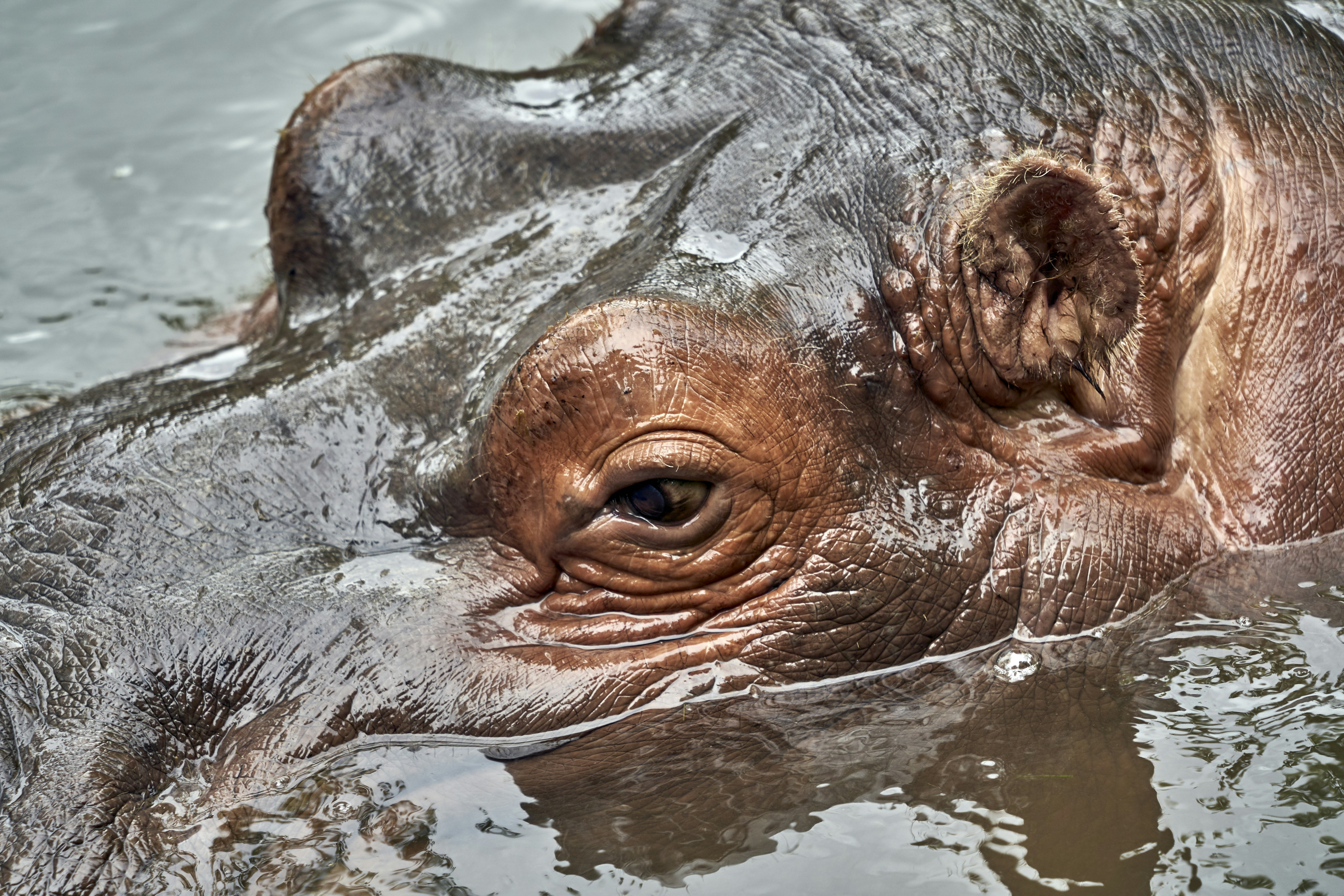 Photo by wolfgang_hasselmann