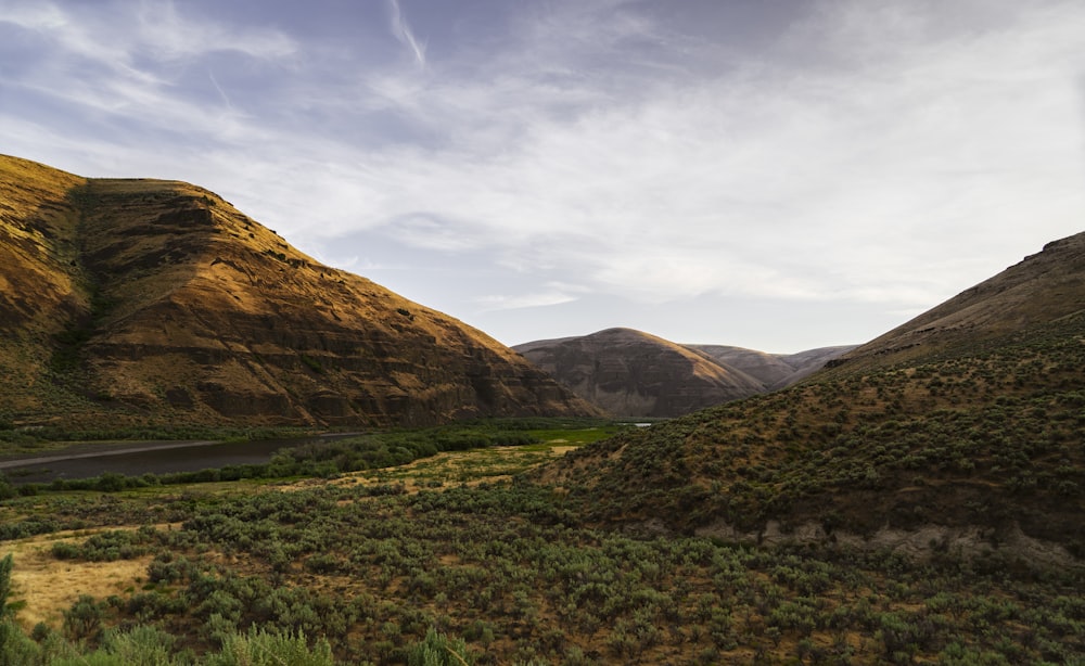 landscape of a green valley