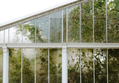 Tall glass greenhouse panels with white frames enclose a lush interior of climbing plants and greenery. The glass appears slightly fogged, creating a soft, diffused view of the foliage inside.