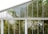 Tall glass greenhouse panels with white frames enclose a lush interior of climbing plants and greenery. The glass appears slightly fogged, creating a soft, diffused view of the foliage inside.