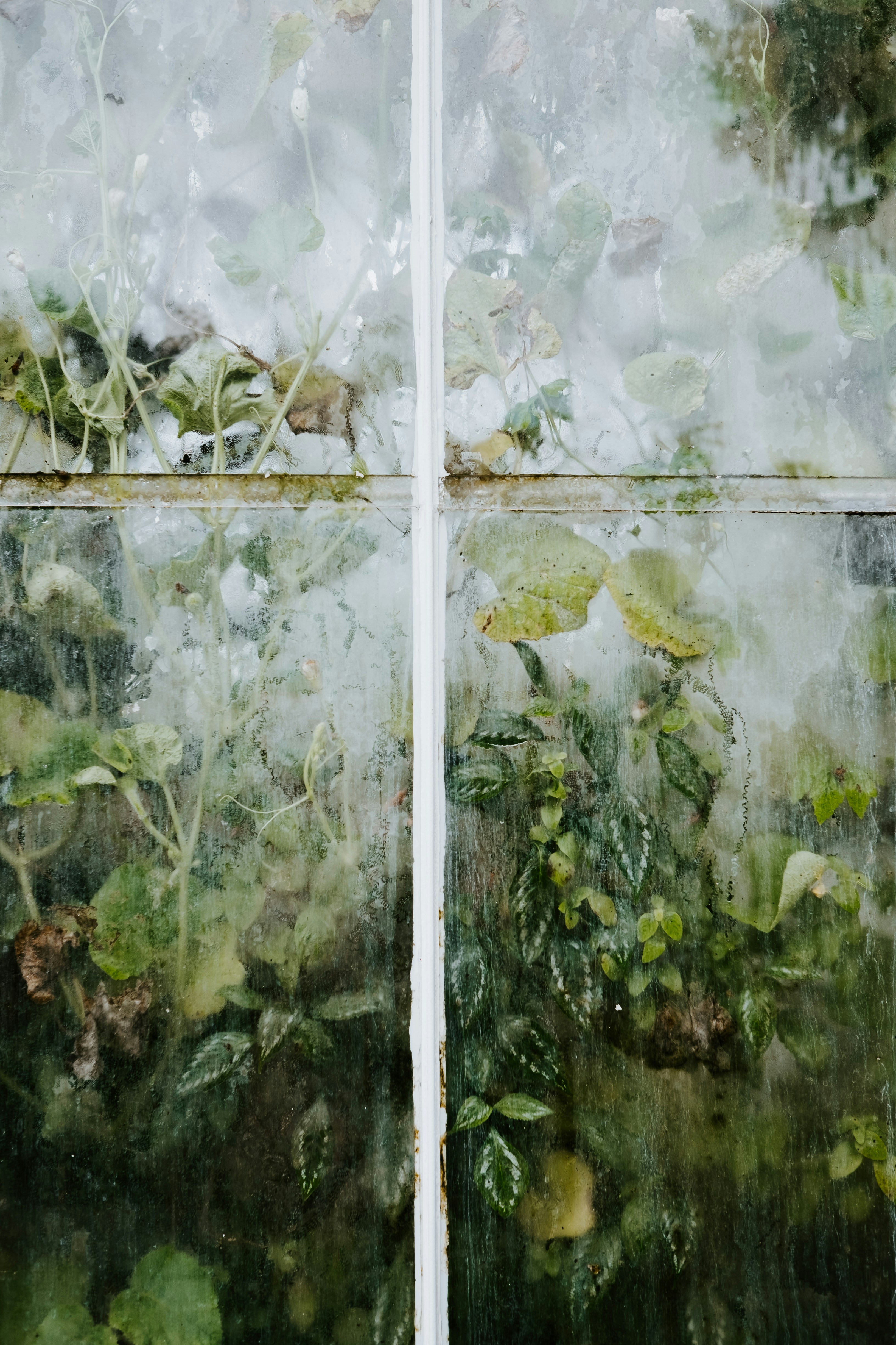 Photo by anniespratt