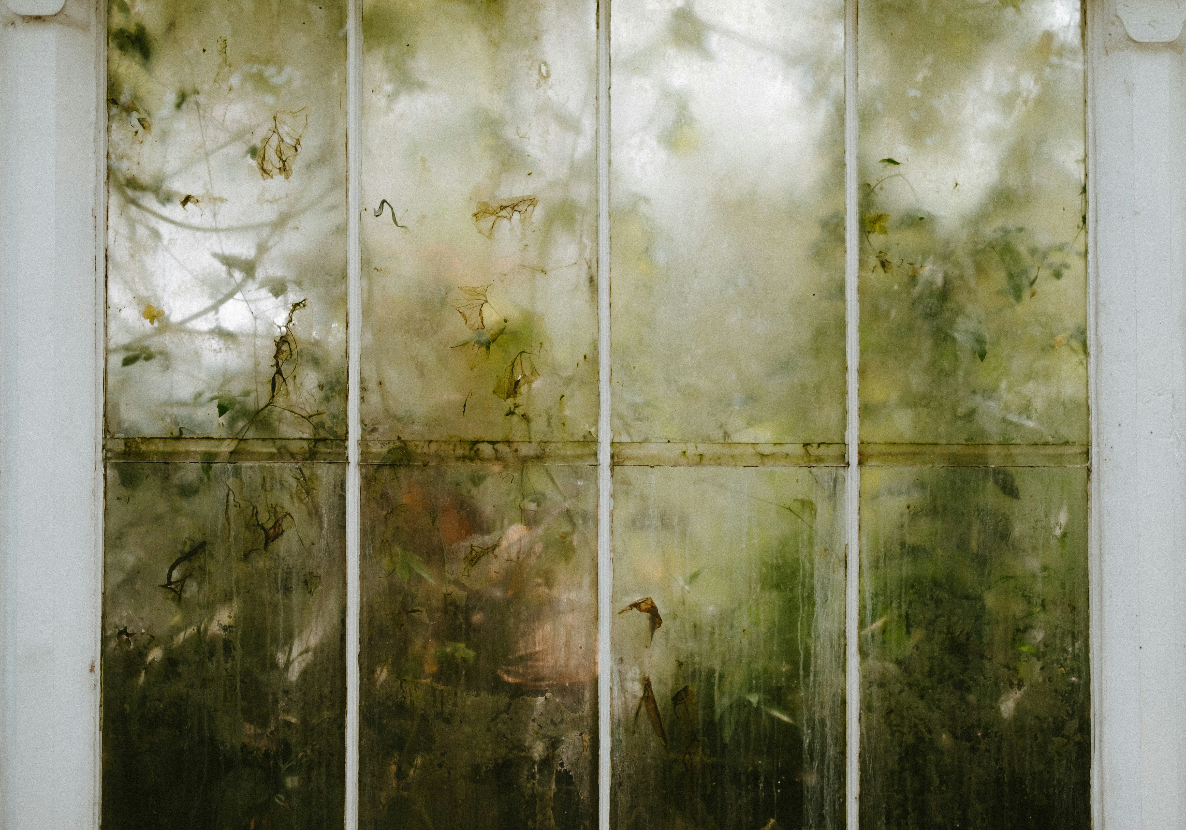 Photo by anniespratt