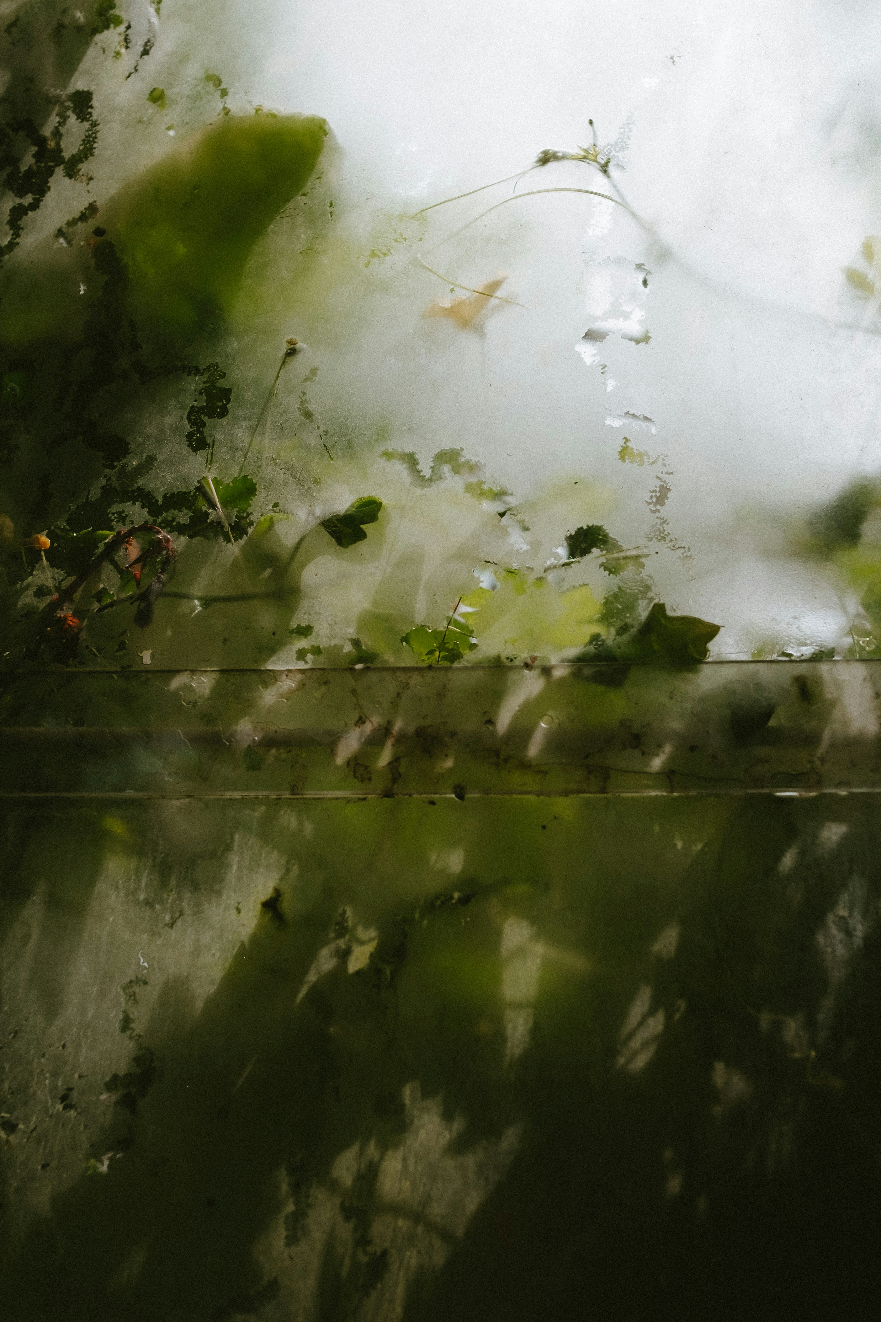 Photo by anniespratt