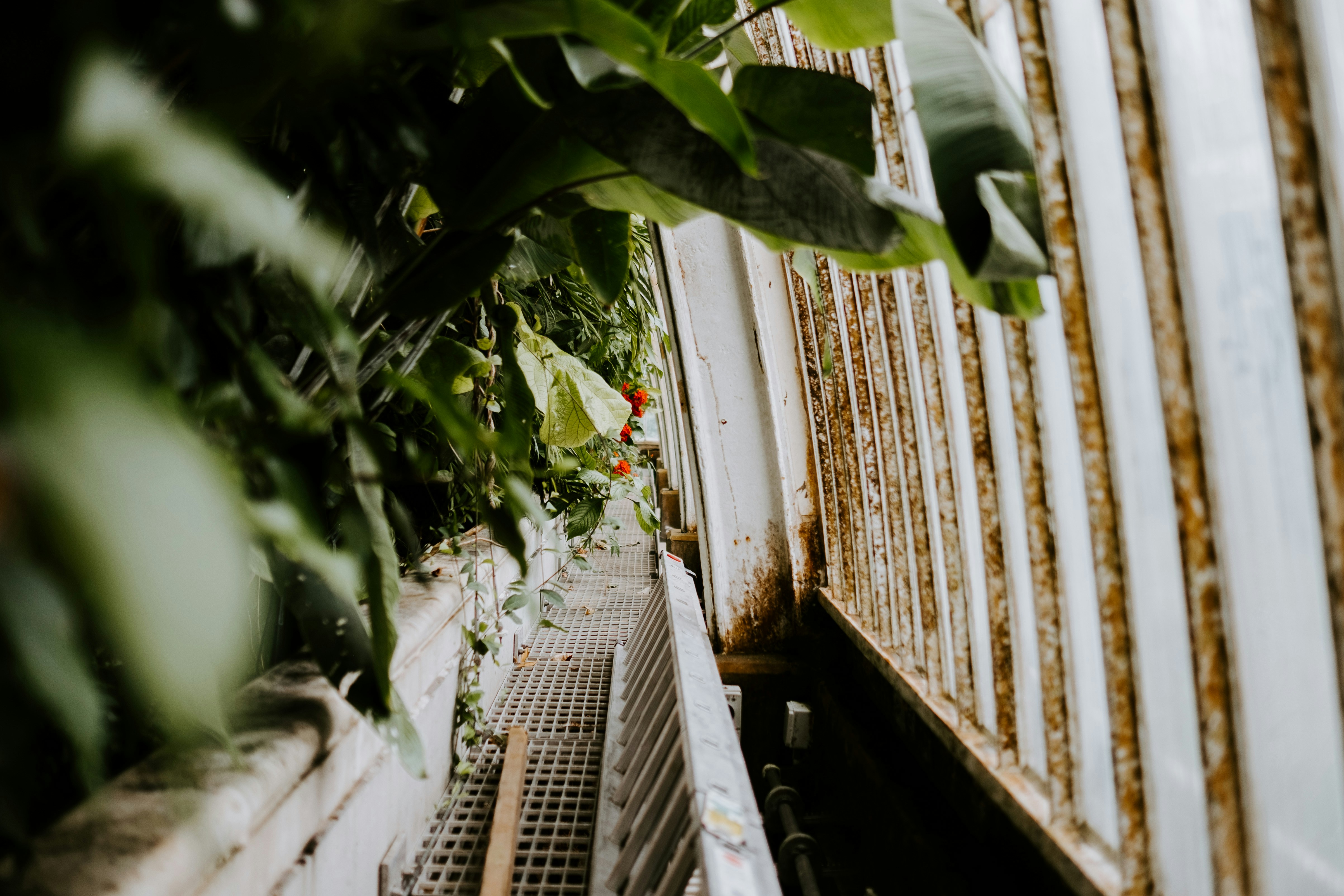 Photo by anniespratt