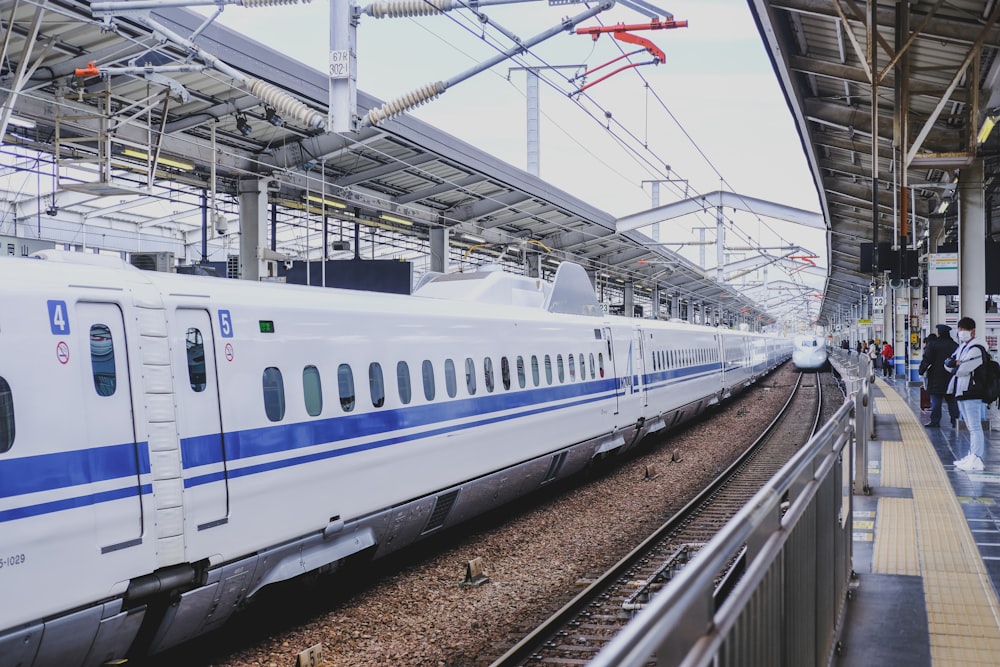 people near white and blue train