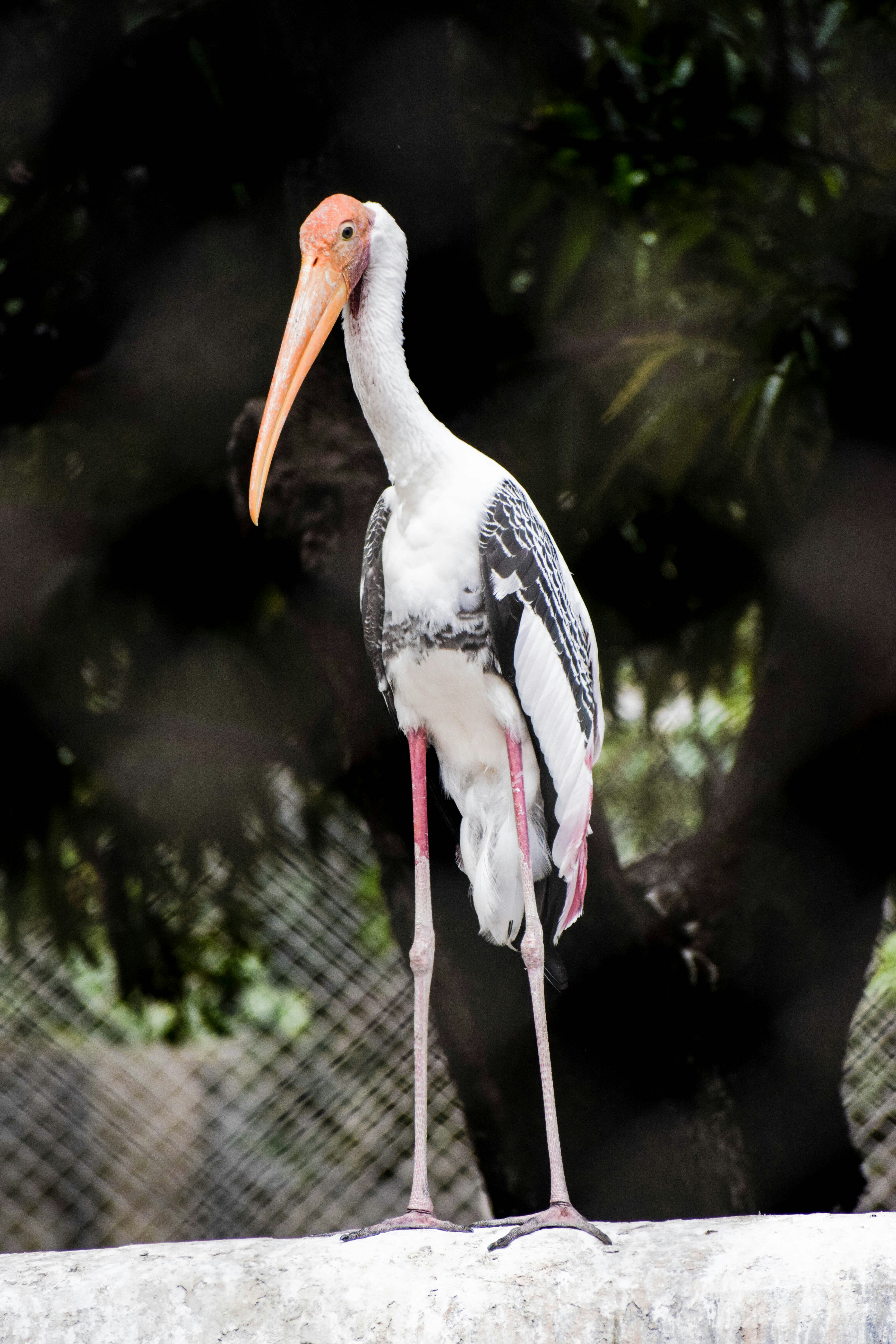 Photo by ayphotography47