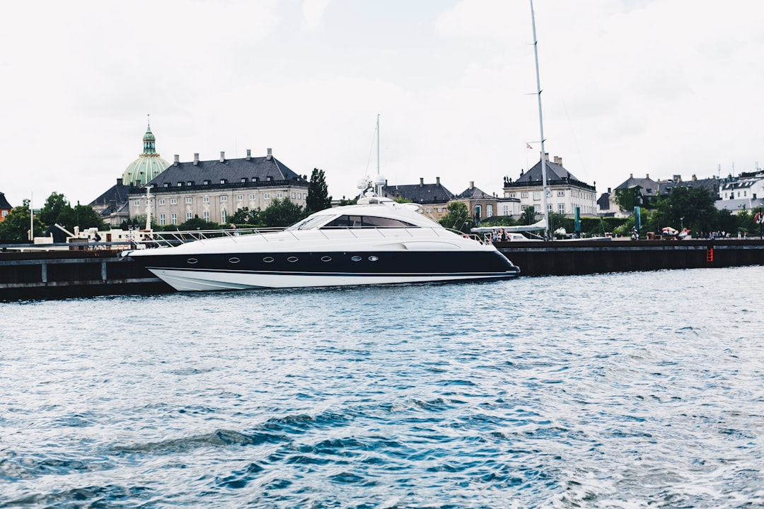 white and black ship on body of water during daytime