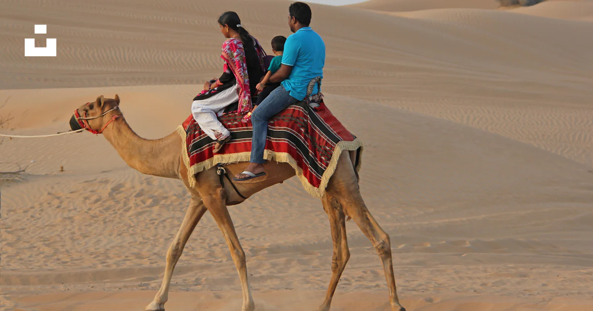 Man and woman riding camel near desert photo – Free Dubai desert Image ...