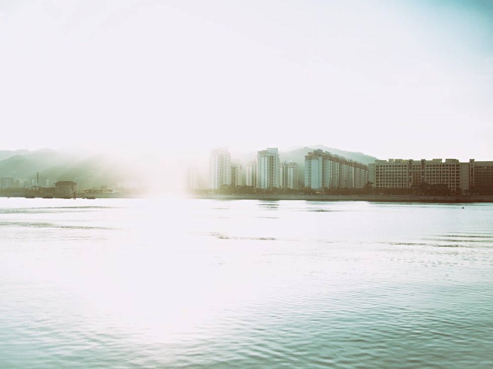 white and gray buildings