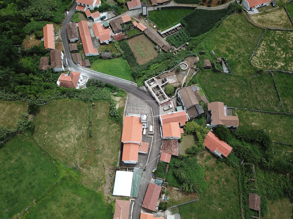aerial view of buildings near rice field