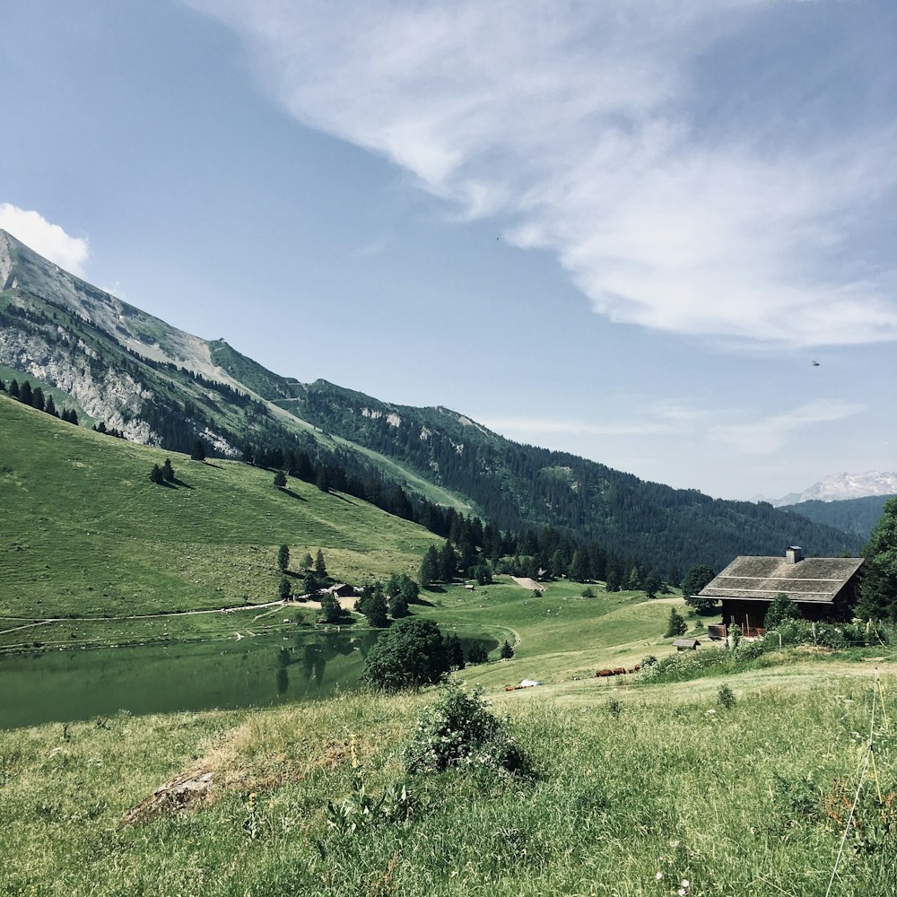 brown house in green field under white clouds and blue sky during daytime