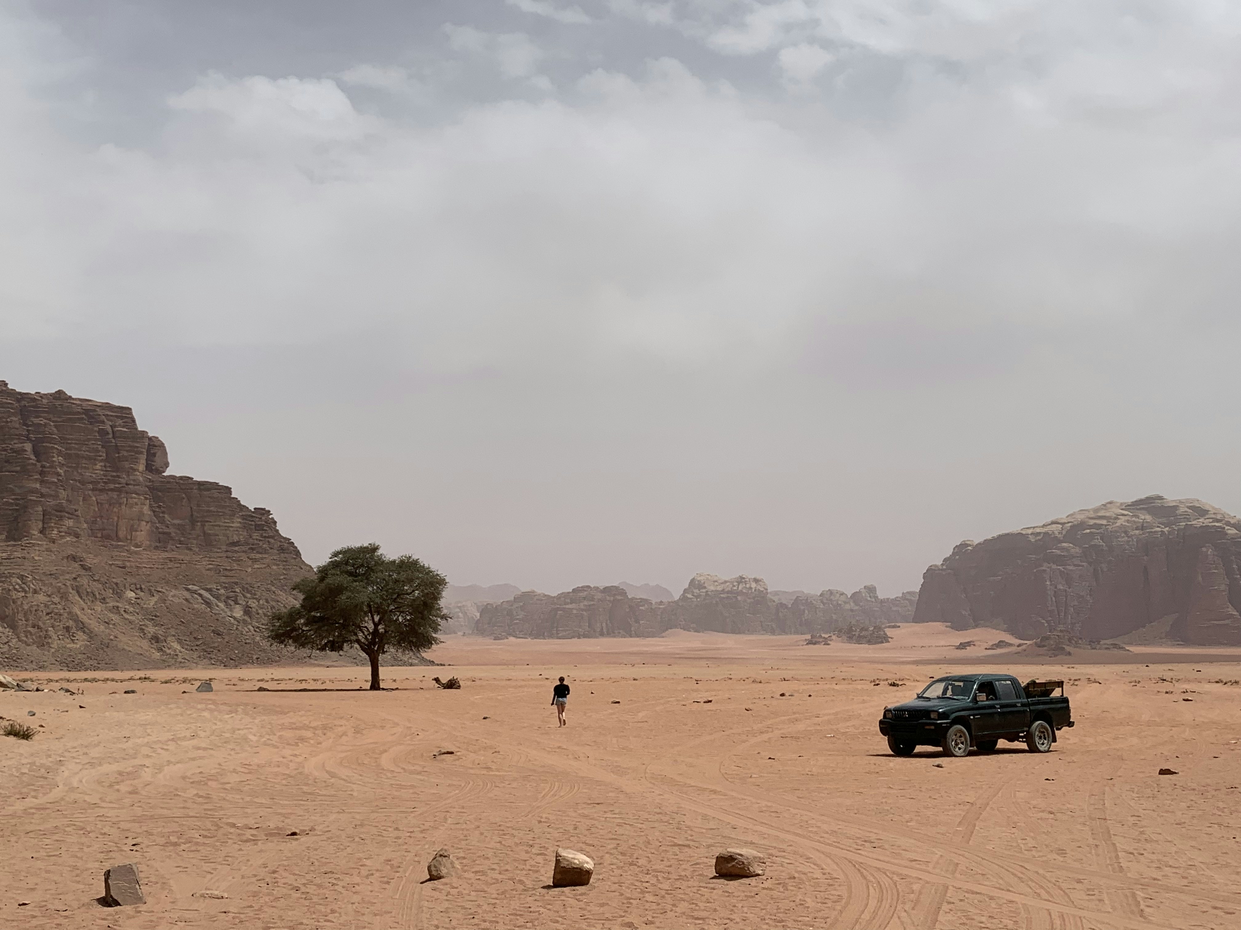 Soil Movement: The Underground Express (image credits: unsplash)