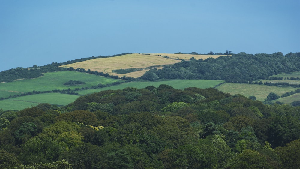 top view of hill and trees