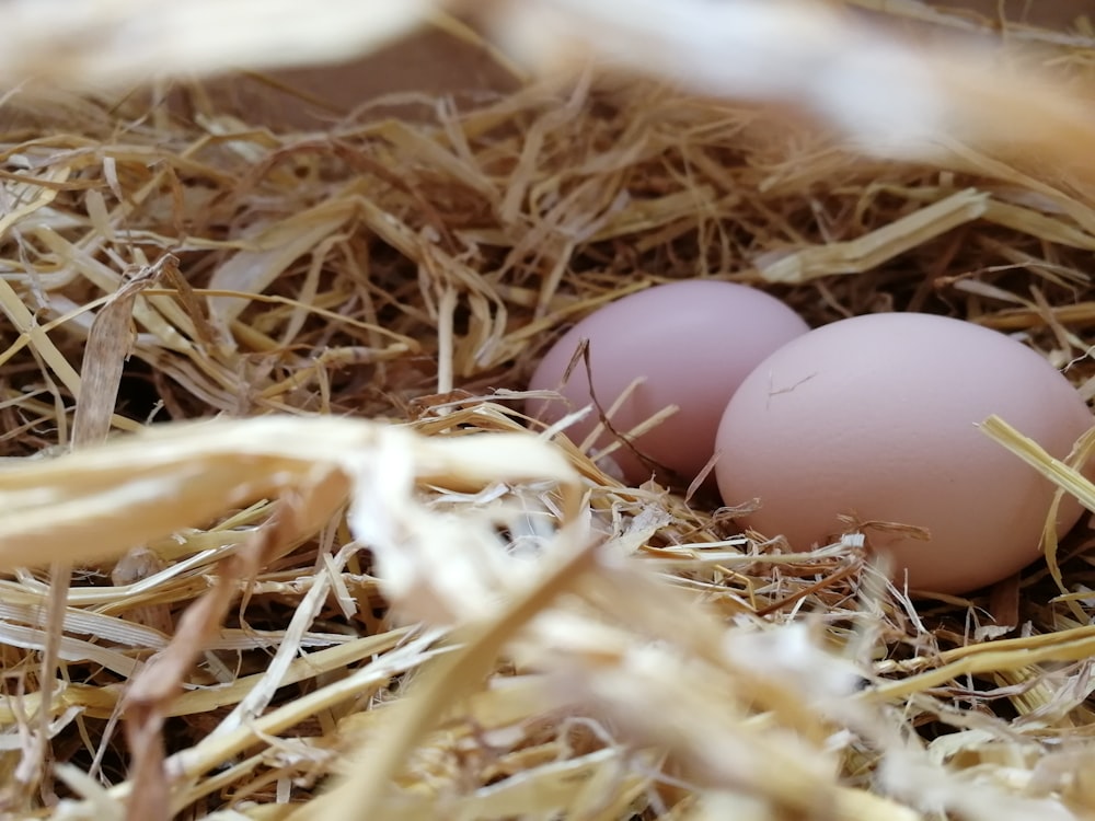 two white eggs