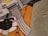 A stylized painting depicting a hand holding a rifle, with a focus on the magazine and trigger area. The artwork features bold outlines and a simple palette, creating a graphic novel or pop art appearance.
