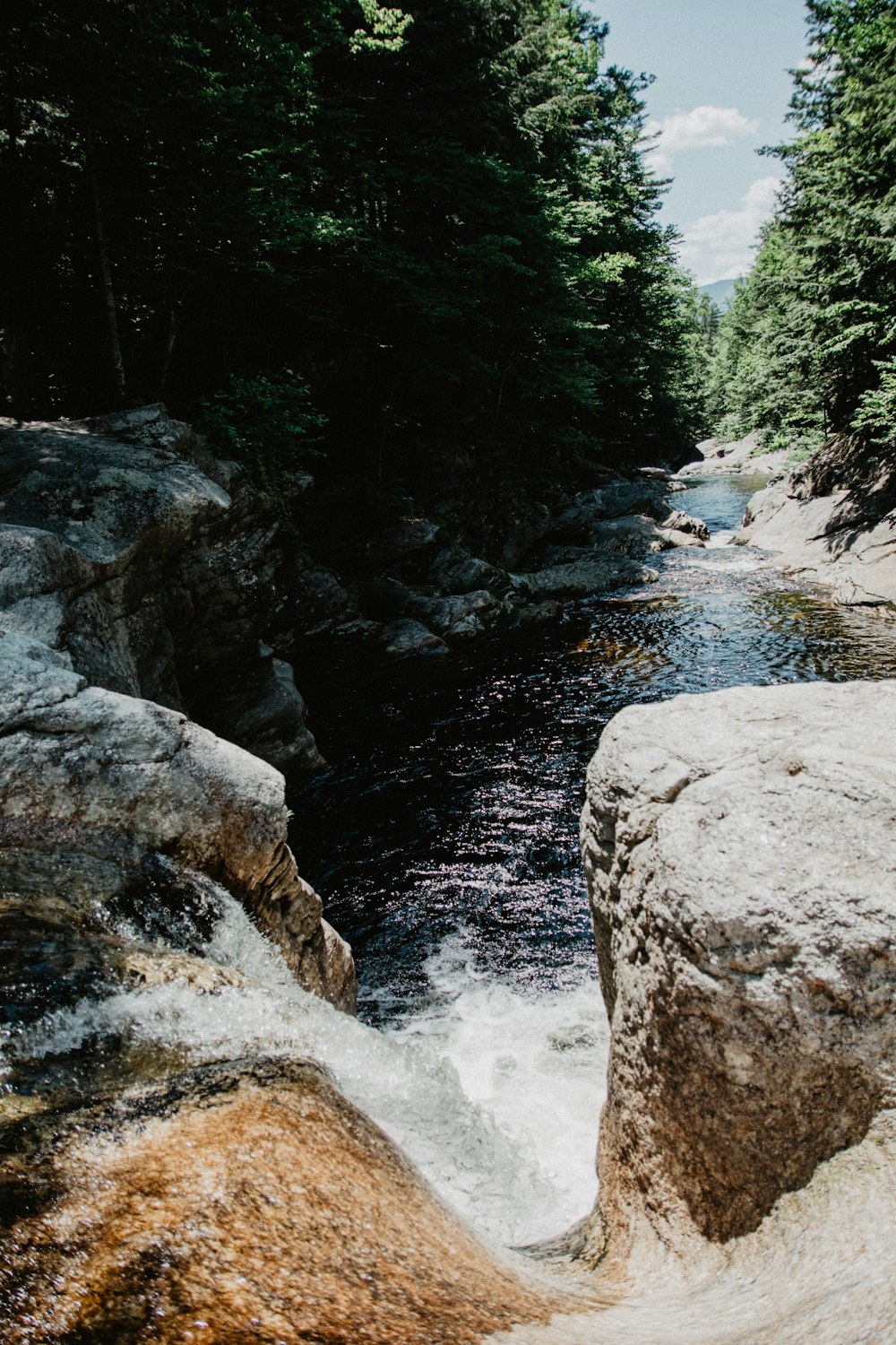 cascada entre árboles durante el día