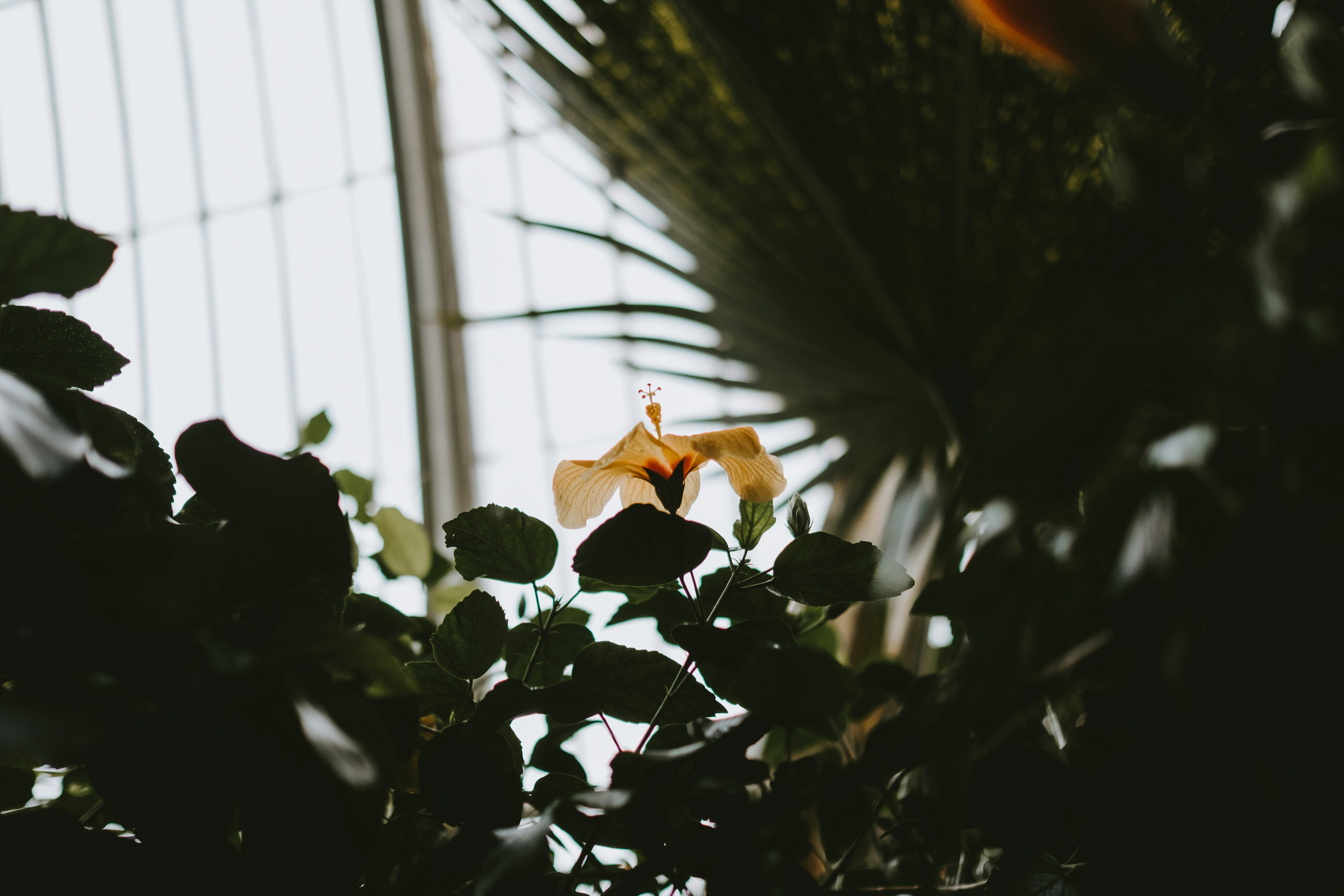 Photo by anniespratt