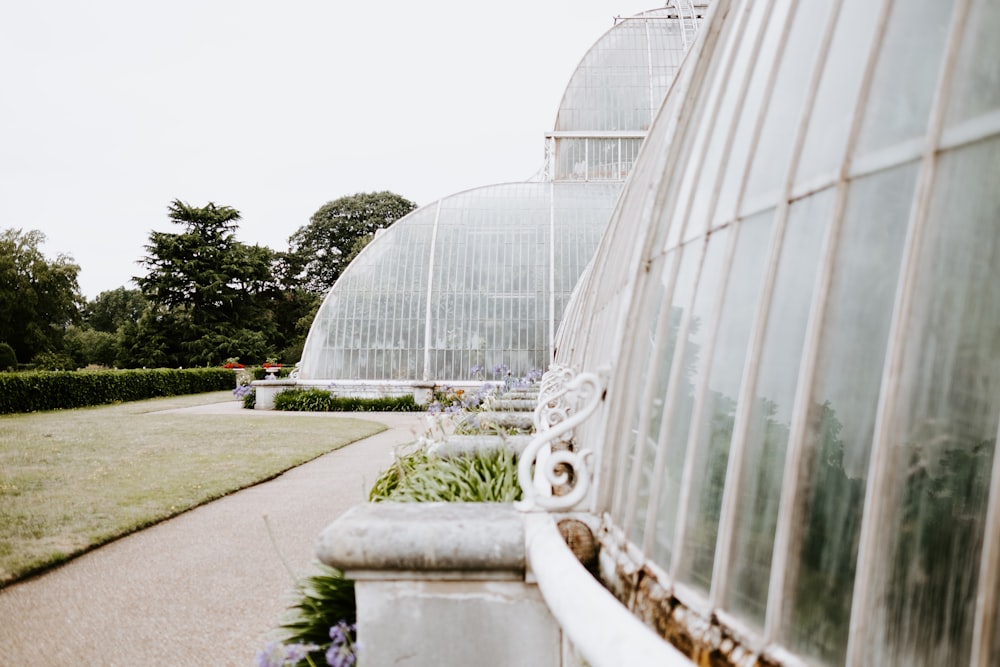 white greenhouse