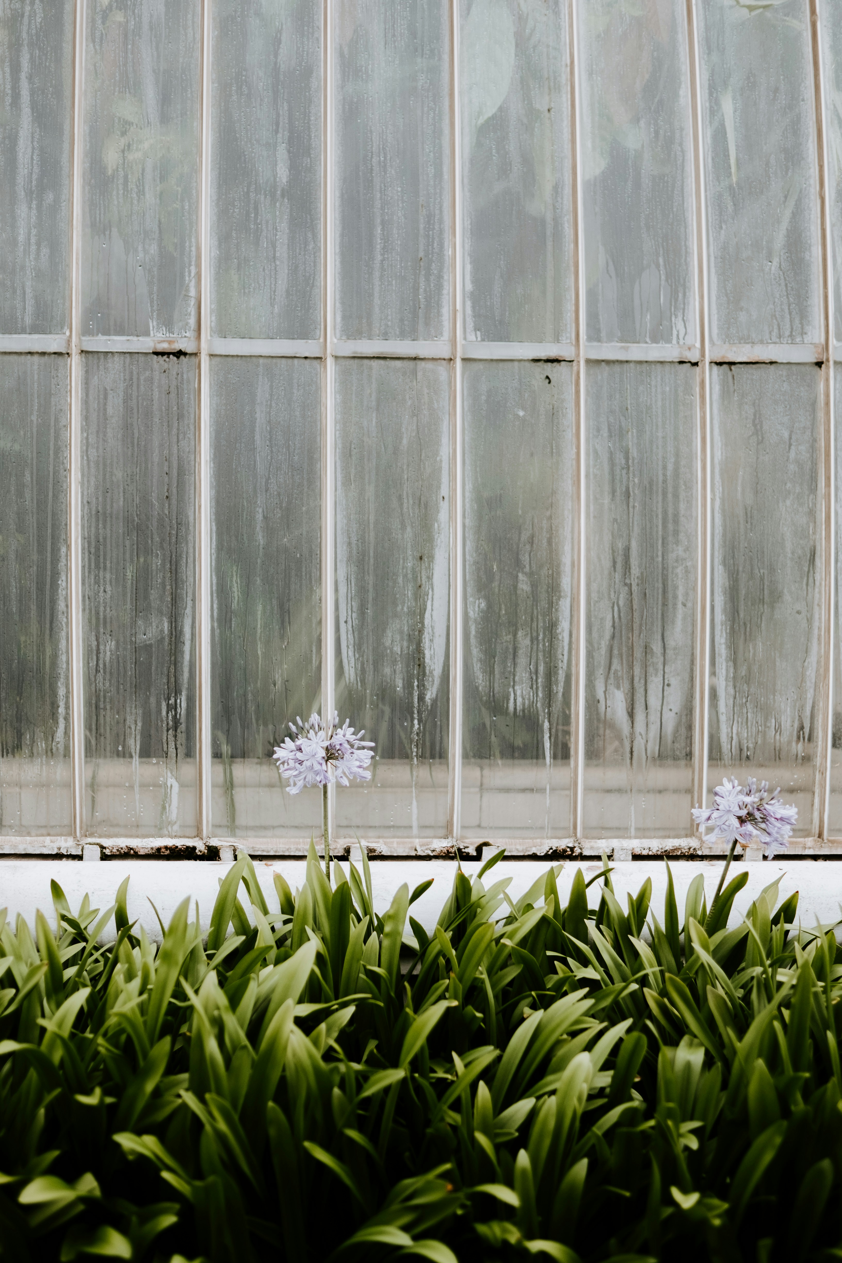 Photo by anniespratt