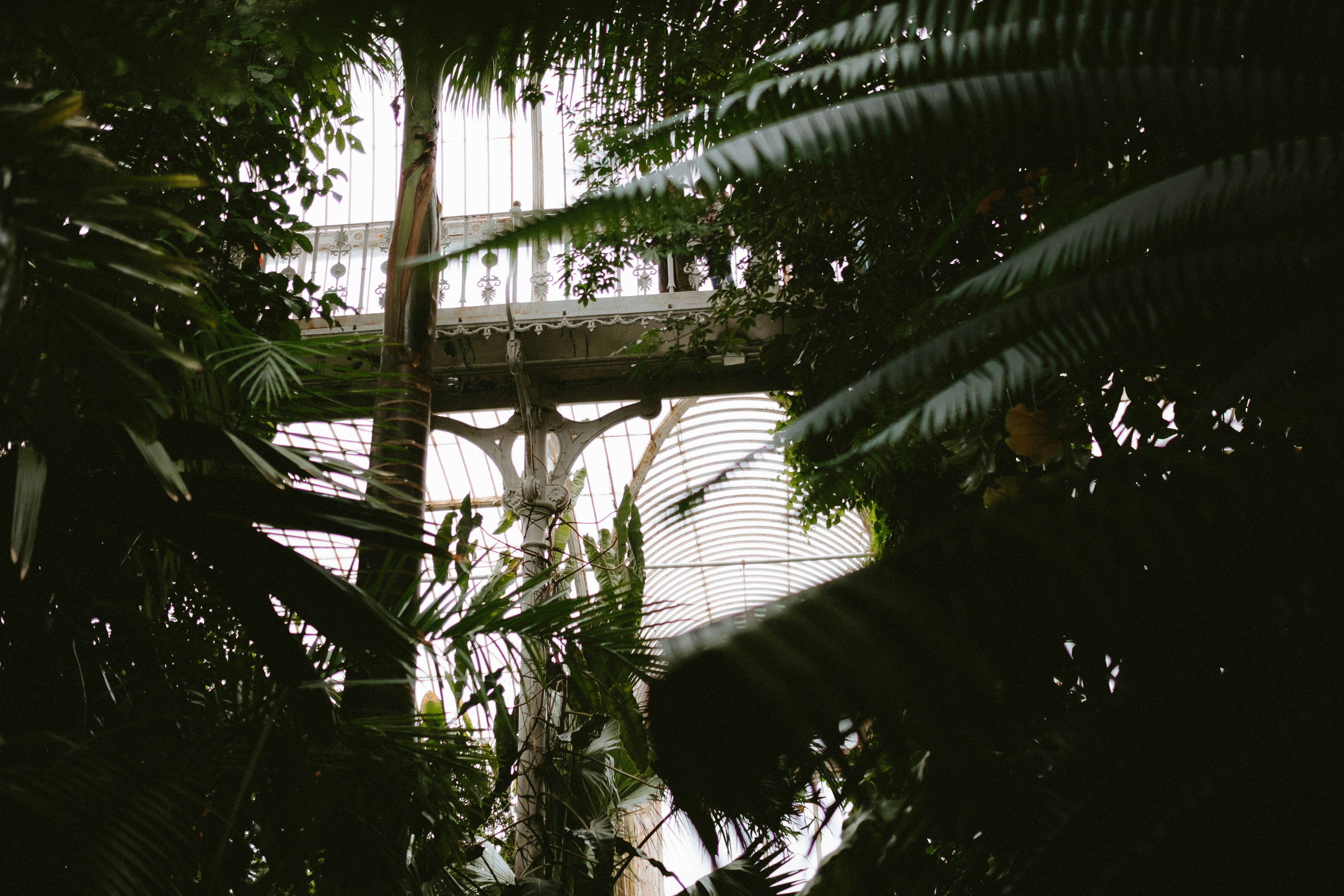 Photo by anniespratt