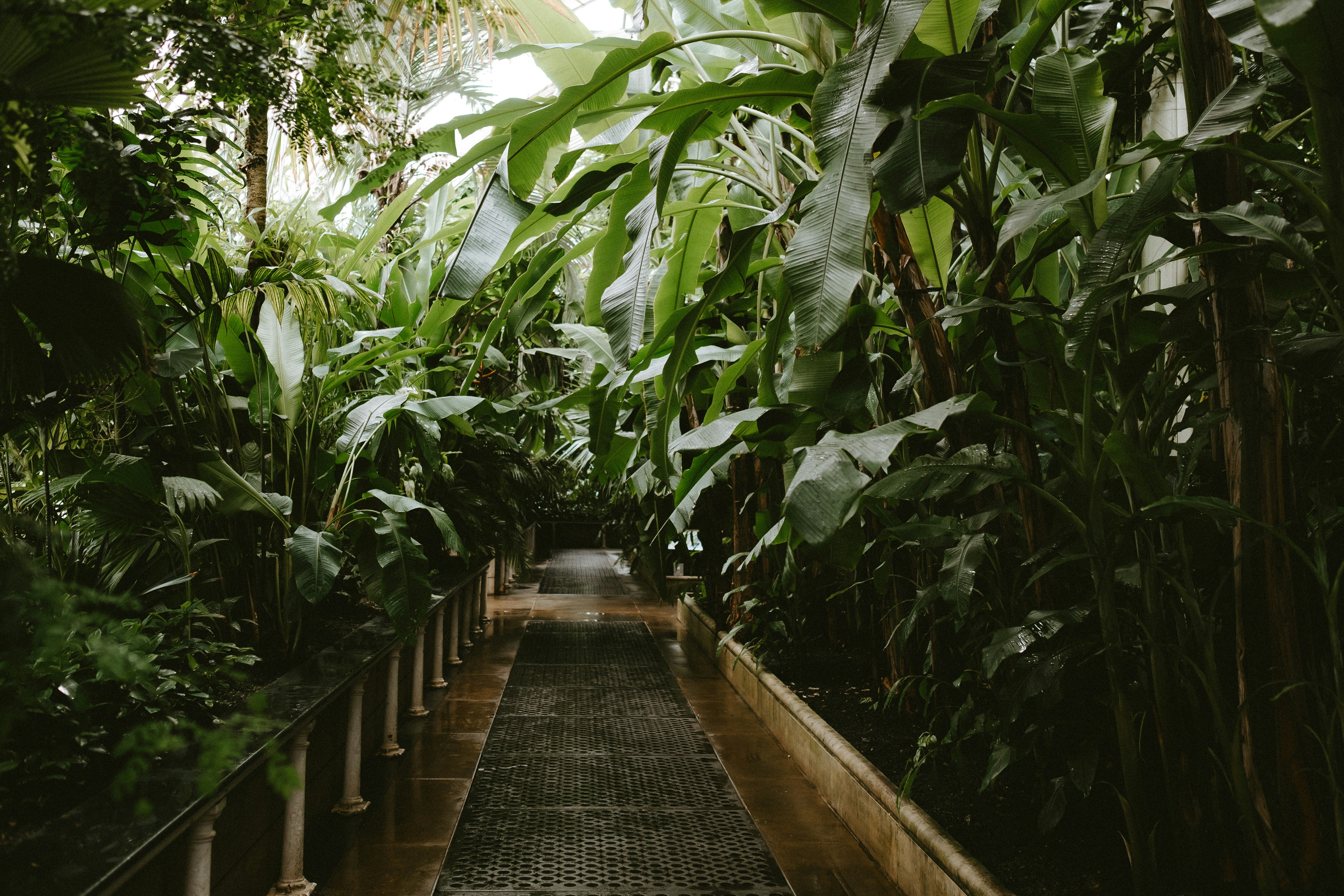 Photo by anniespratt