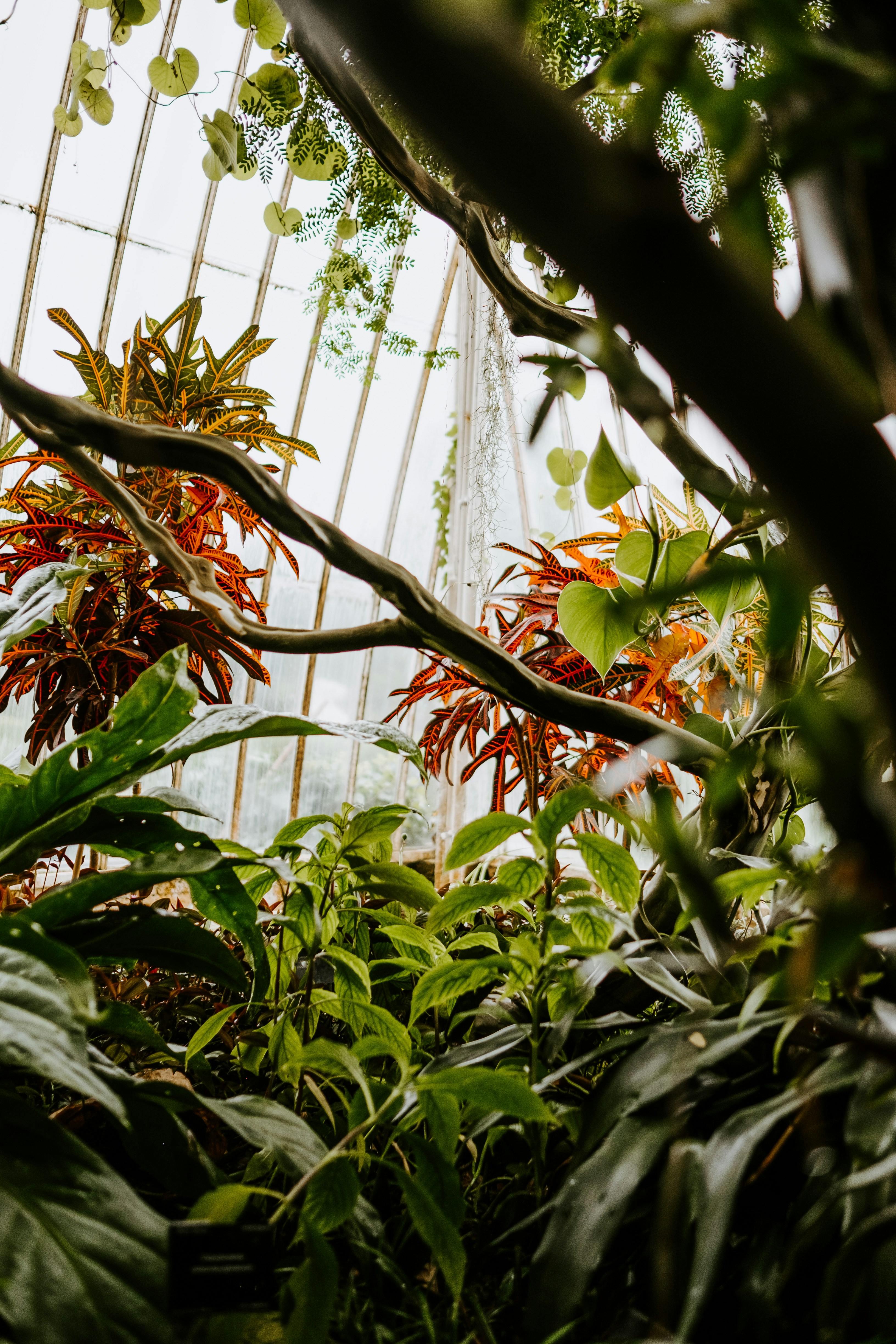 Photo by anniespratt