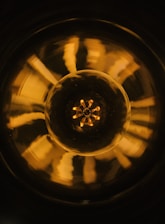 Close-up of a golden-white light beam bursting from the center of a circular emblem with organic leaf patterns and soft particle glow.