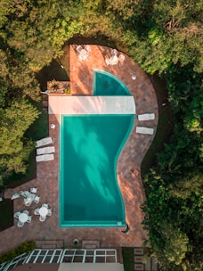 aerial photo of swimming pool between trees