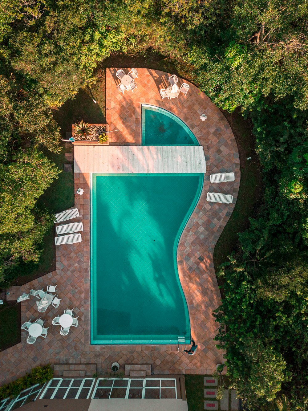 aerial photo of swimming pool between trees