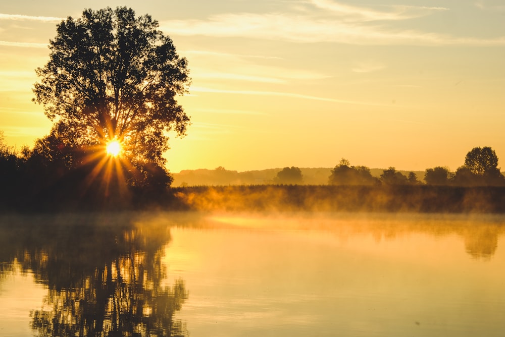 Plan d’eau calme pendant l’heure dorée