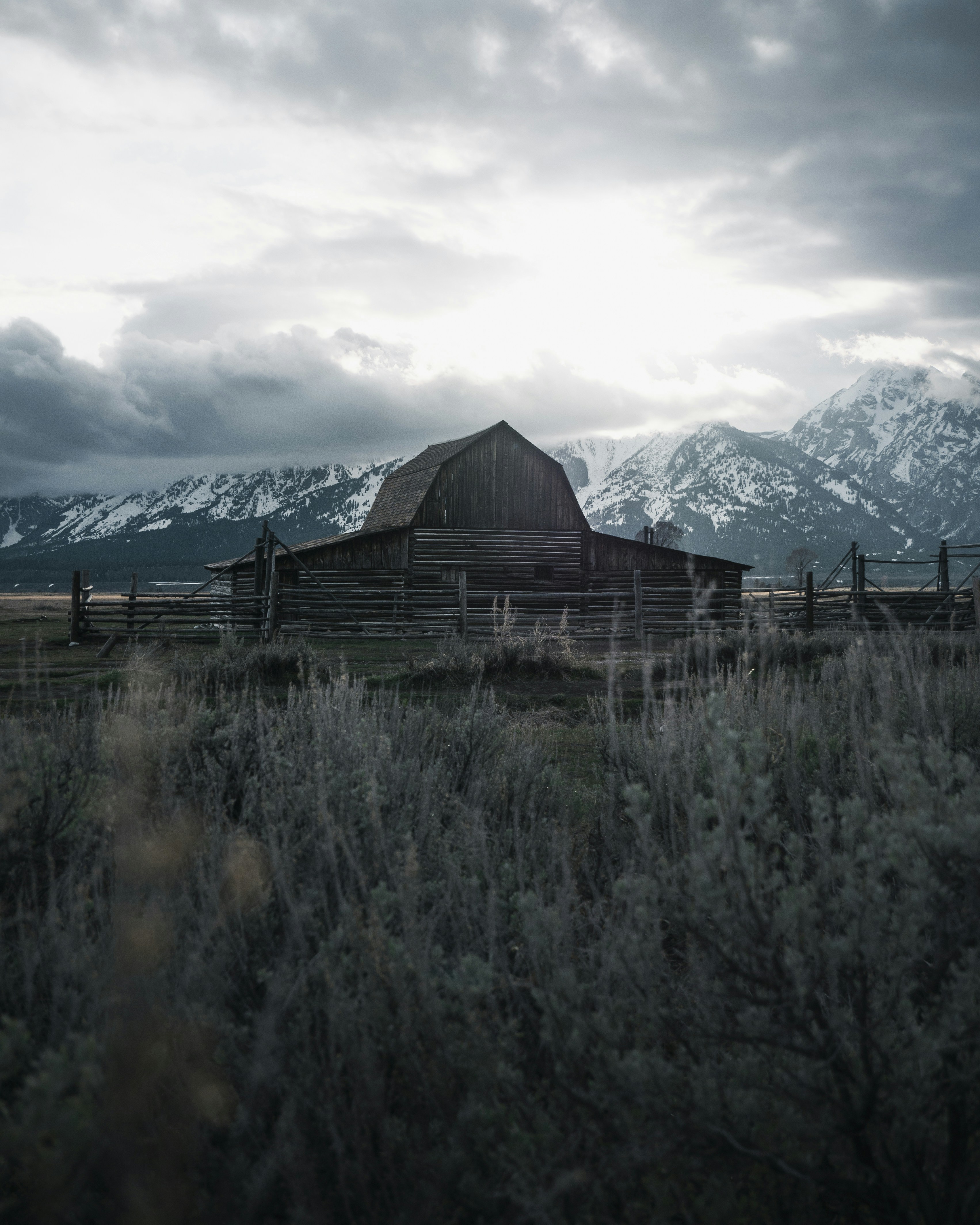 Photo by yannallegre
