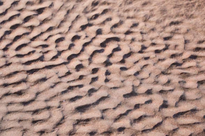 brown dust