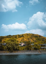 brown and green mountain at daytime