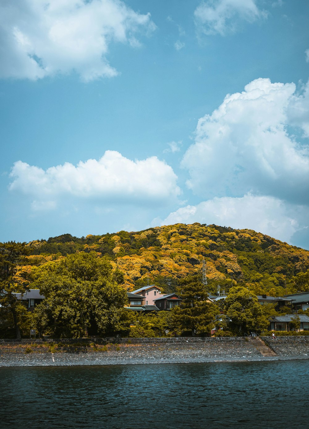 brown and green mountain at daytime