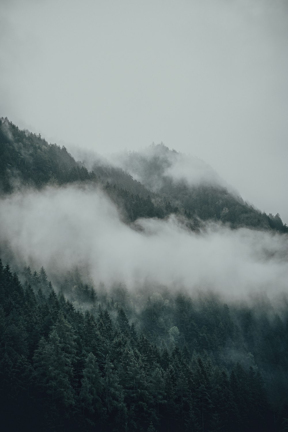 mountain with trees and cloudy sky