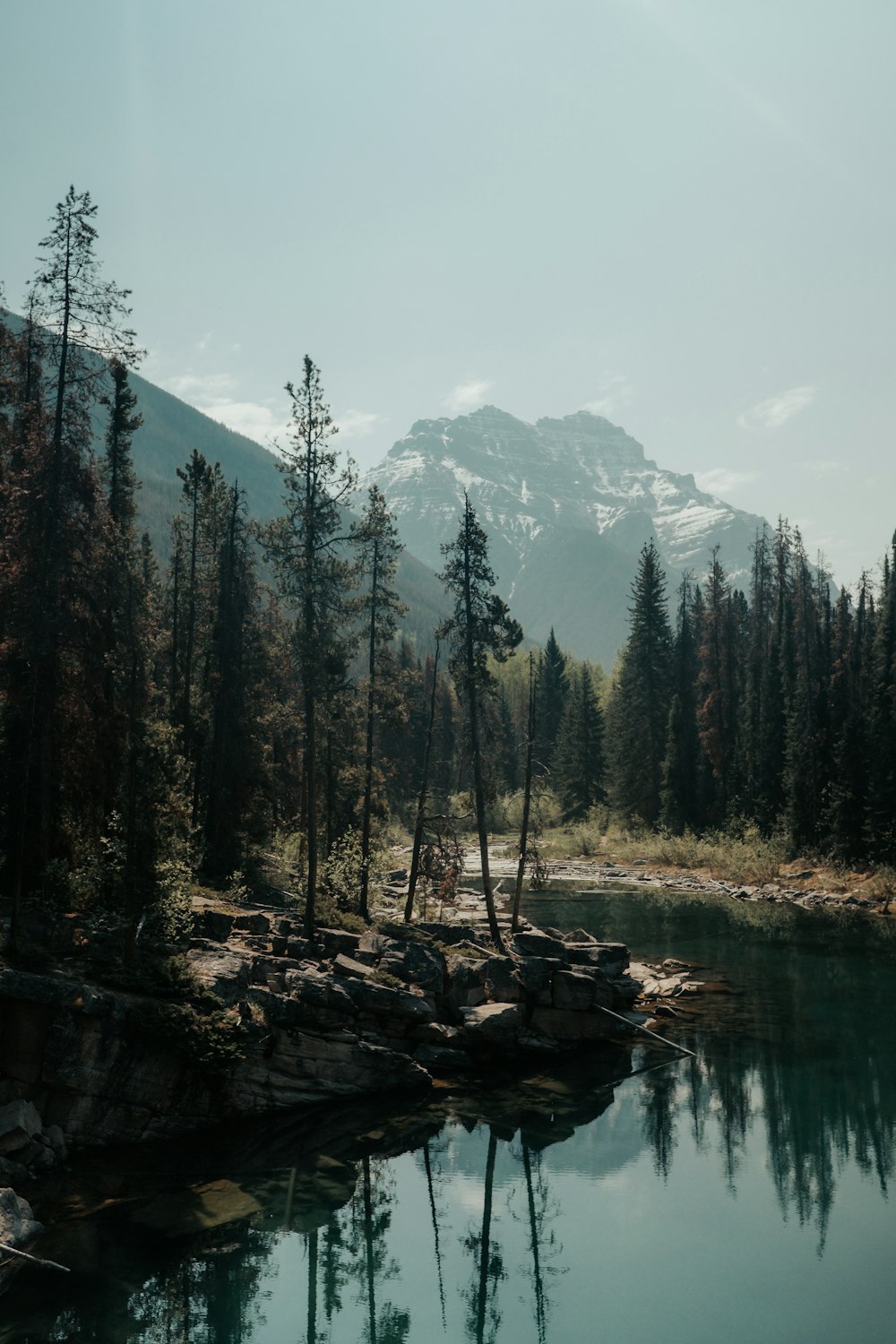 Plan d’eau entouré d’arbres le jour