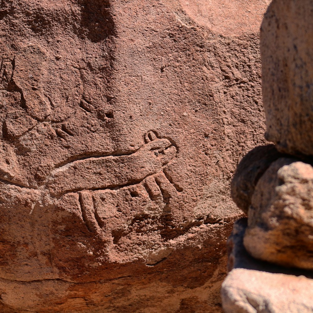 a close up of a rock with a drawing on it