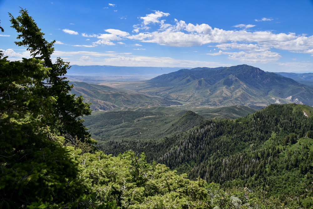 green mountain during daytime