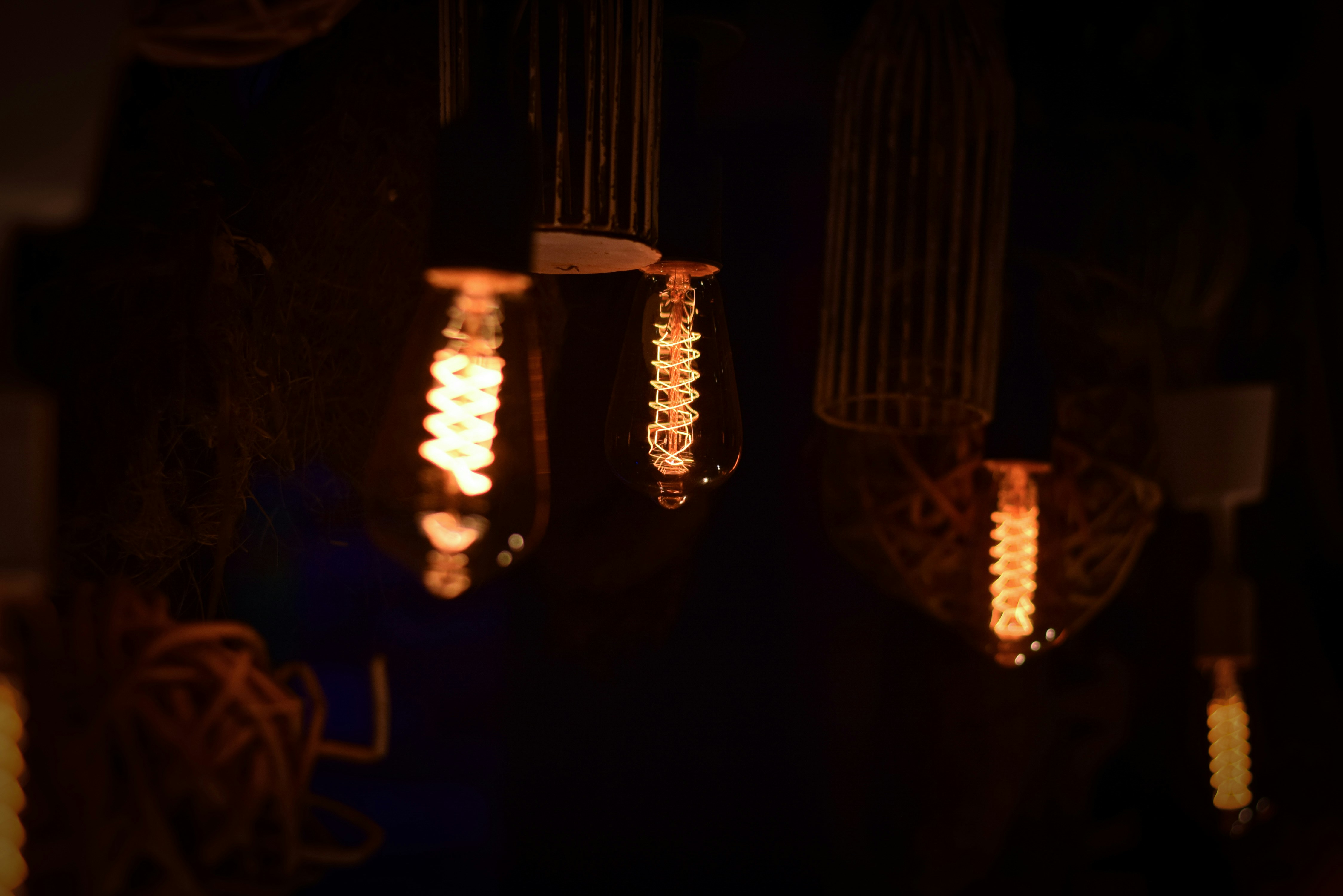 Photo by karthikswarnkar