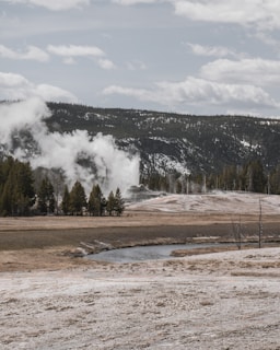A geothermal landscape featuring a steaming geyser surrounded by pine trees. In the foreground, a small river meanders through a barren, rocky terrain. The background showcases a rising hillside and a forest under a cloudy sky.