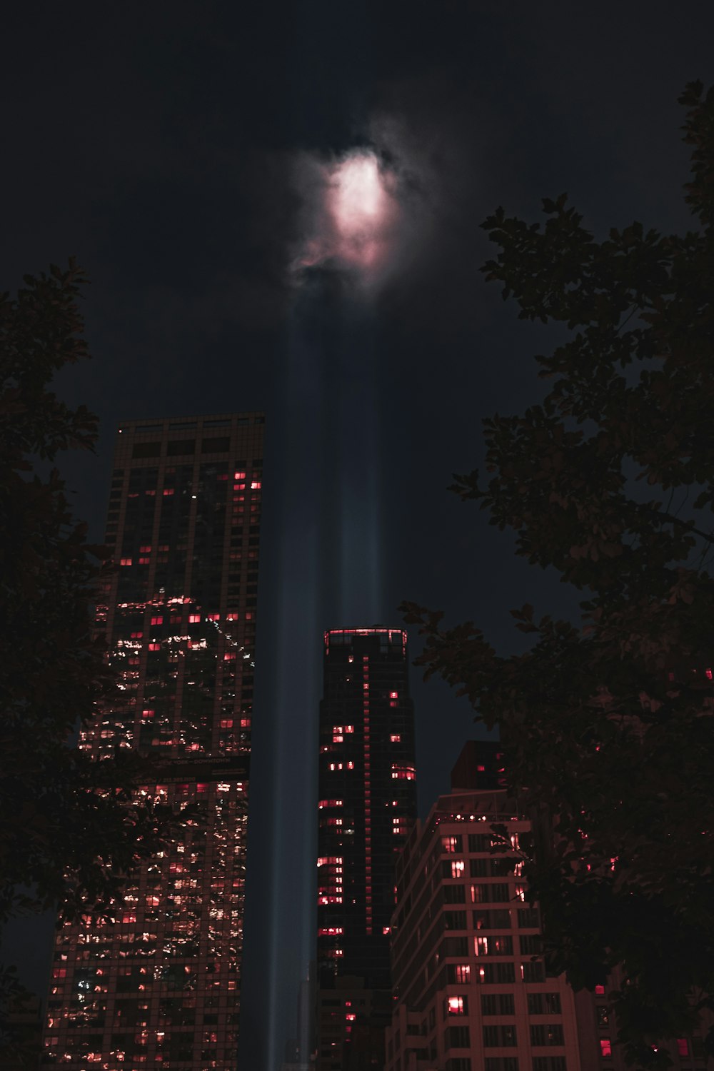 high buildings at nighttime