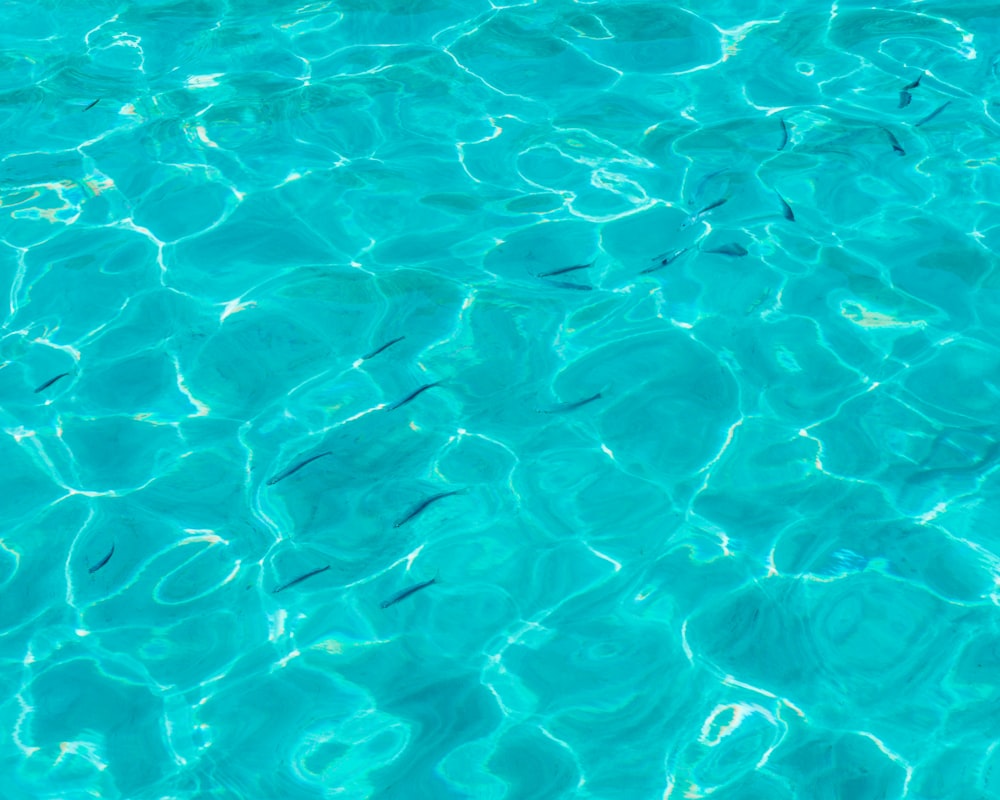 900 Light Blue Background Images Download Hd Backgrounds On Unsplash