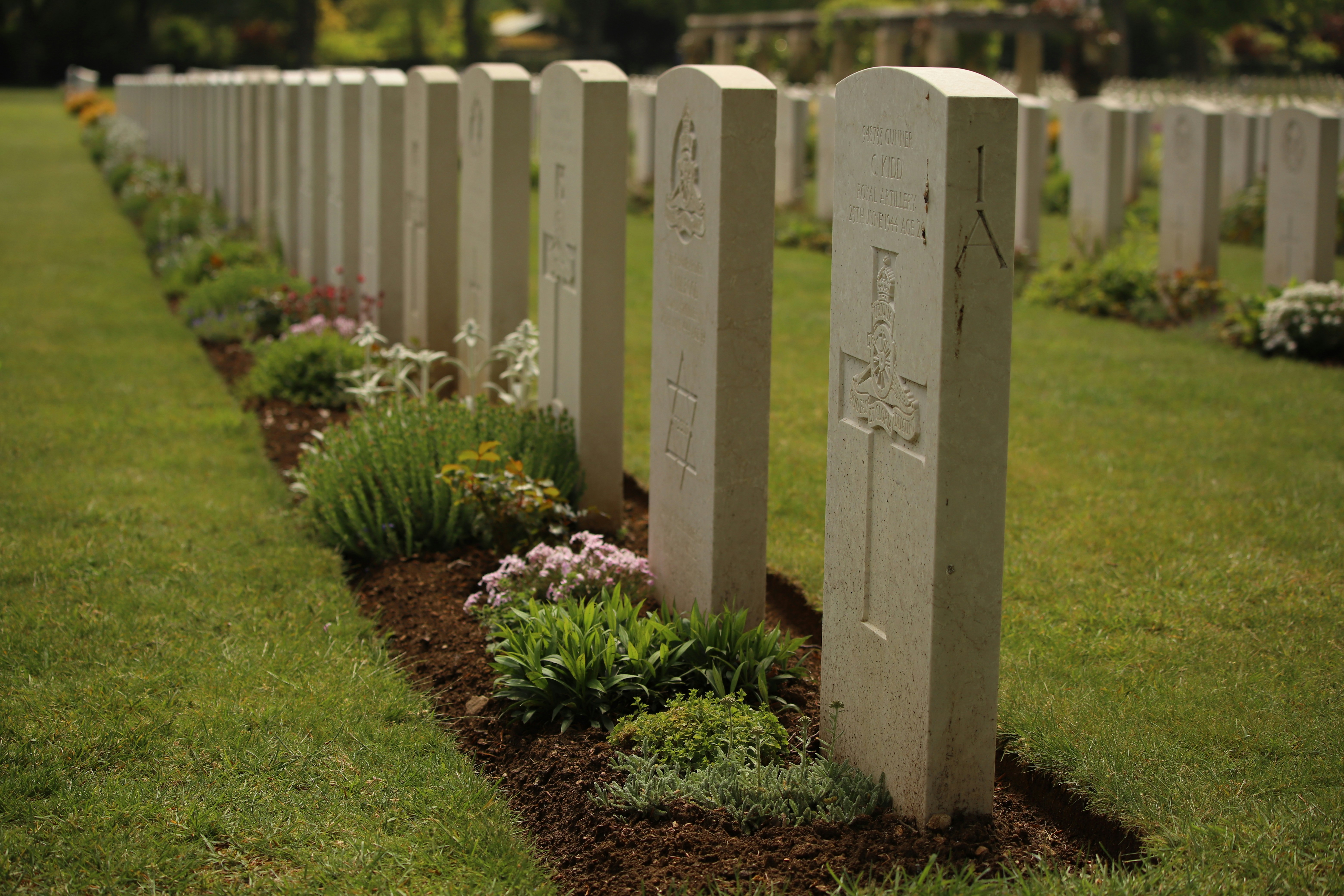 Photo by johnsonandrew290