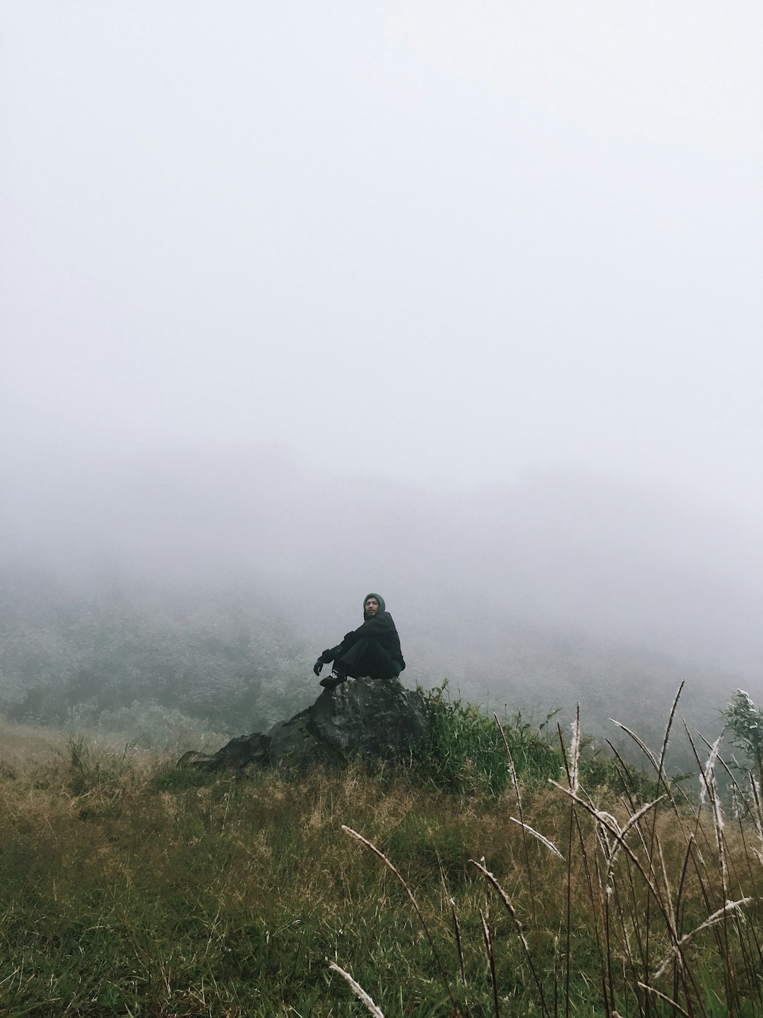 Hill photo spot Area Hutan Mount Merbabu National Park