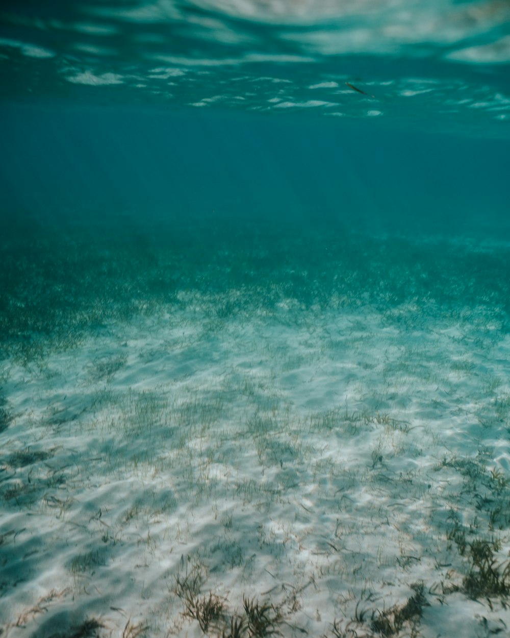 light through underwater