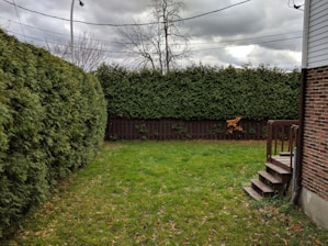 A small backyard featuring a neatly trimmed lawn bordered by dense green hedges and a wooden fence. The sky is overcast with grey clouds, and there is a bare tree visible above the fence. A brick house with a small stairway leading to a wooden porch is on the right.