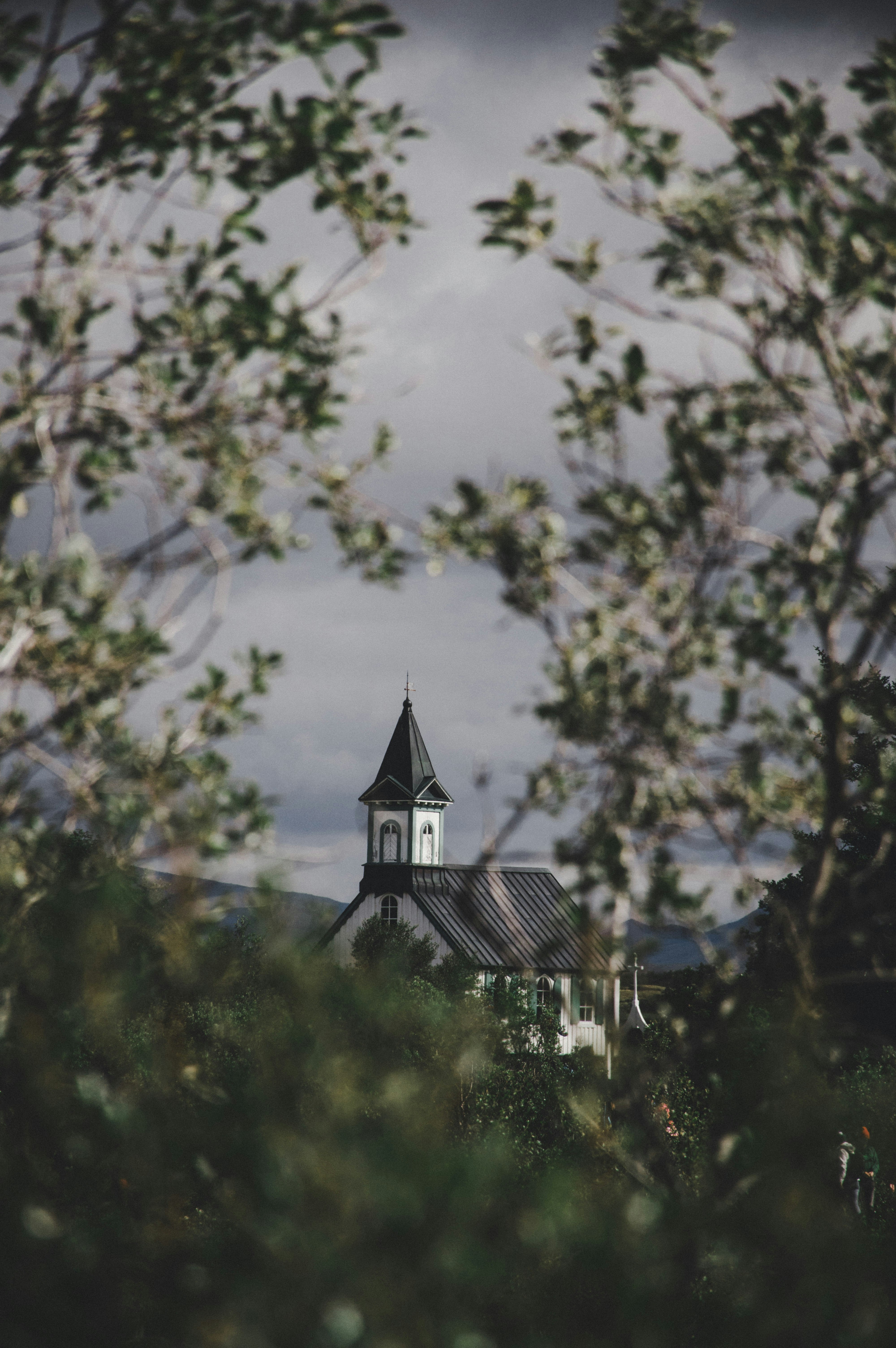 Photo by mkvandergriff